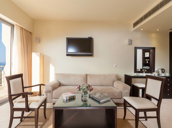BusinessSuite2 Wpcf 550x410