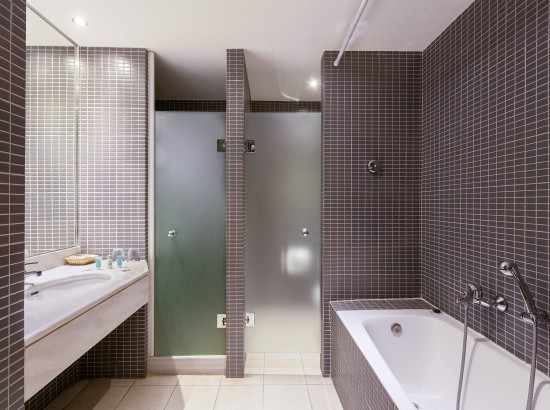 BusinessSuite4 Wpcf 550x410