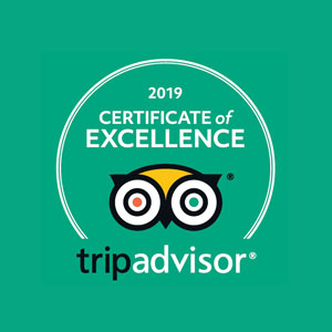 Trip Advisor